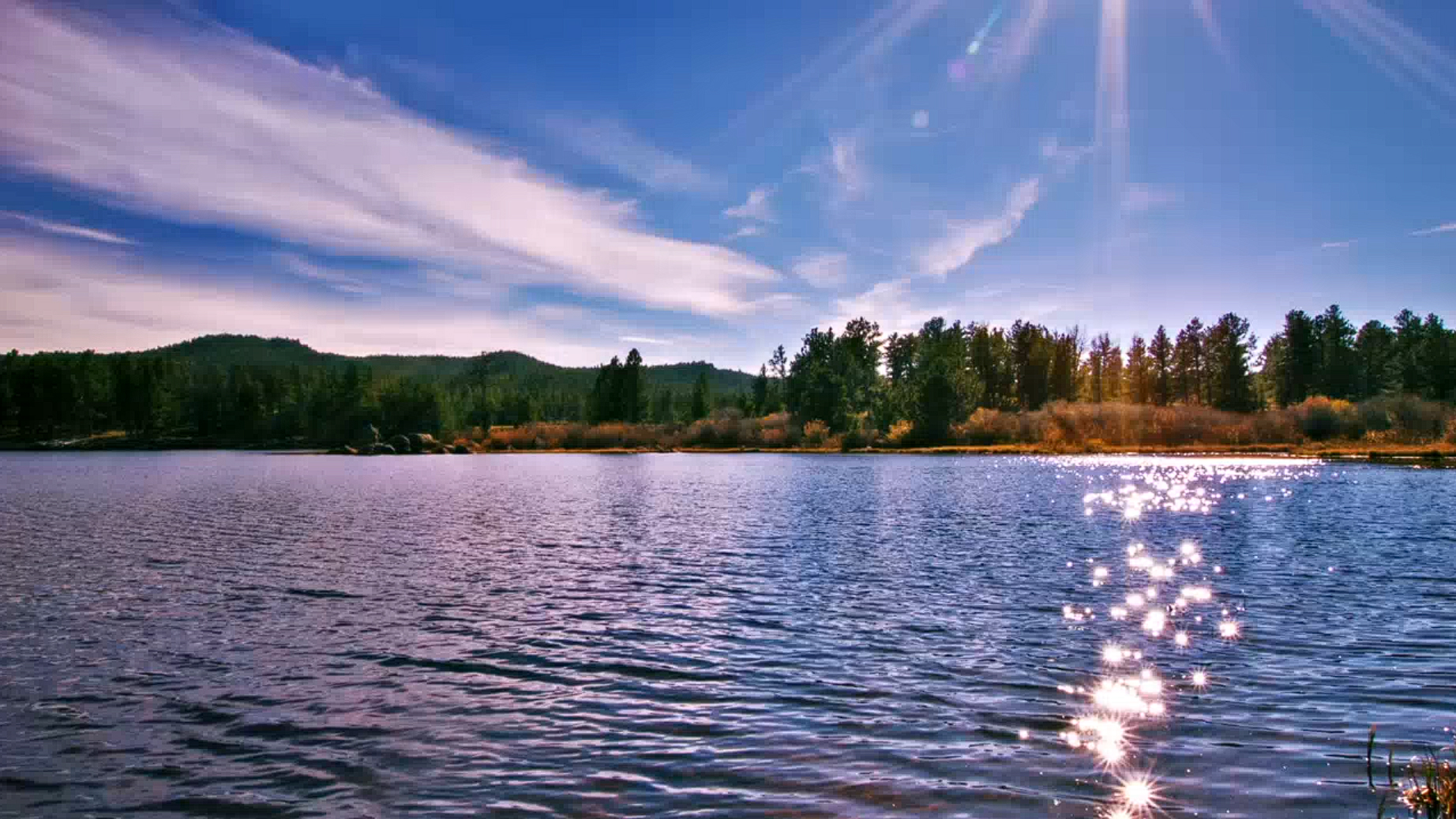 Refer Our Orthodontic Practice Lake Orthodontics